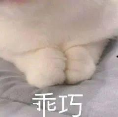 国产a斤,引领行业新潮流的匠心之作 第1张 国产a斤,引领行业新潮流的匠心之作 第1张